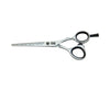 DMI - S550 - 5.5” Scissor - Iridescent Silver